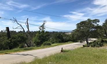 Triple Lot 75'x70', #558 CCSD water list, Ocean & Forest Views