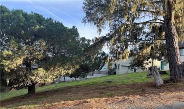 0 Worcester, Cambria, California 93428, ,Land,Buy,0 Worcester,SC23226273