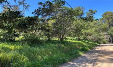 Quiet tree lines road, low traffic and very private location.