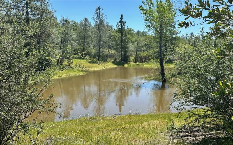 Pond on Property