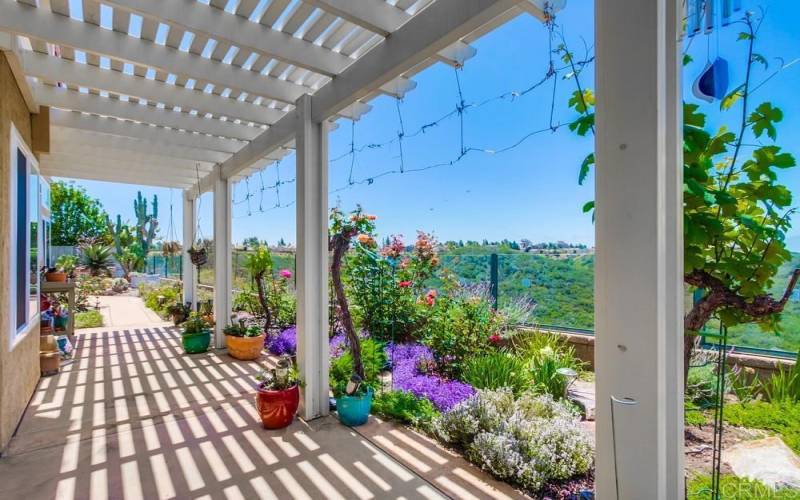 Patio and View