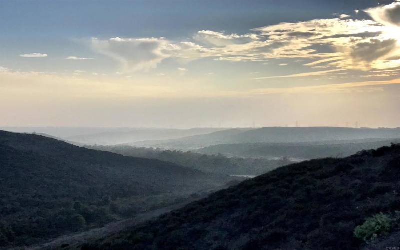 Fog Rolling in from the Ocean