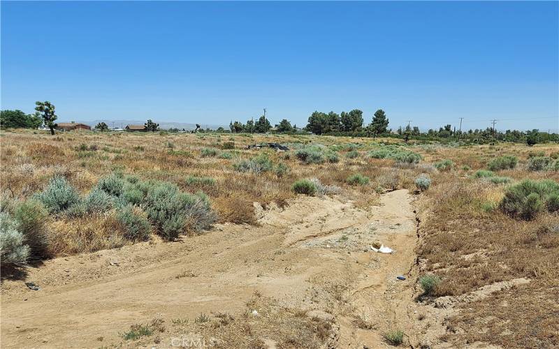 view of natural drainage course that goes through property