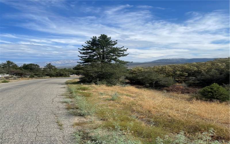 View of Goldshot Creek Road in front of parcel.