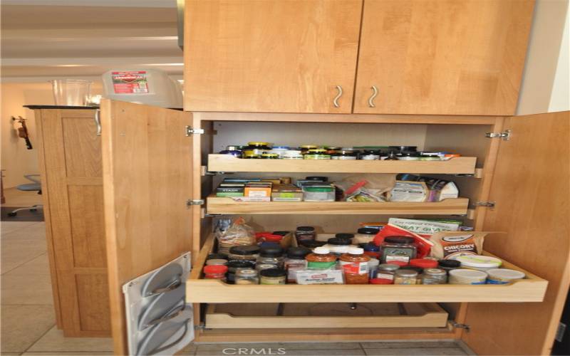 Pull out shelves