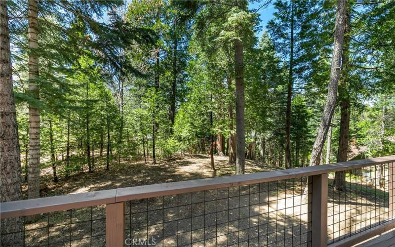 Looking out from the back deck