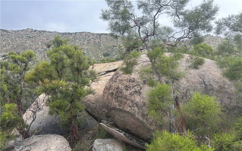 North facing view of nature preserve from upper pad on NW portion of property.