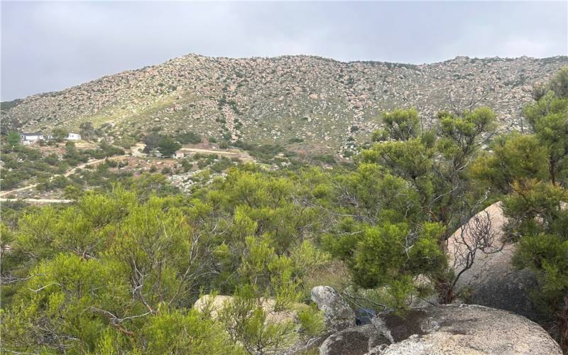 NW facing view of local valley from upper pad on NW portion of property.