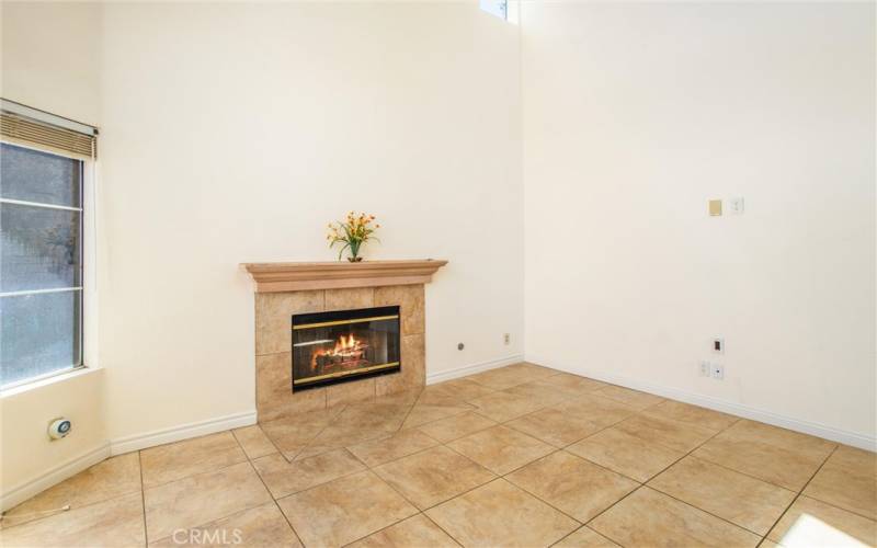 Living room, fireplace view