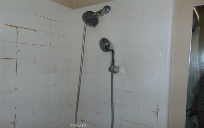 double head shower/main house bath