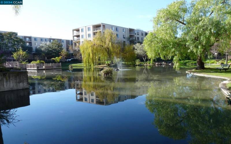 SEVERAL PONDS IN COMPLEX