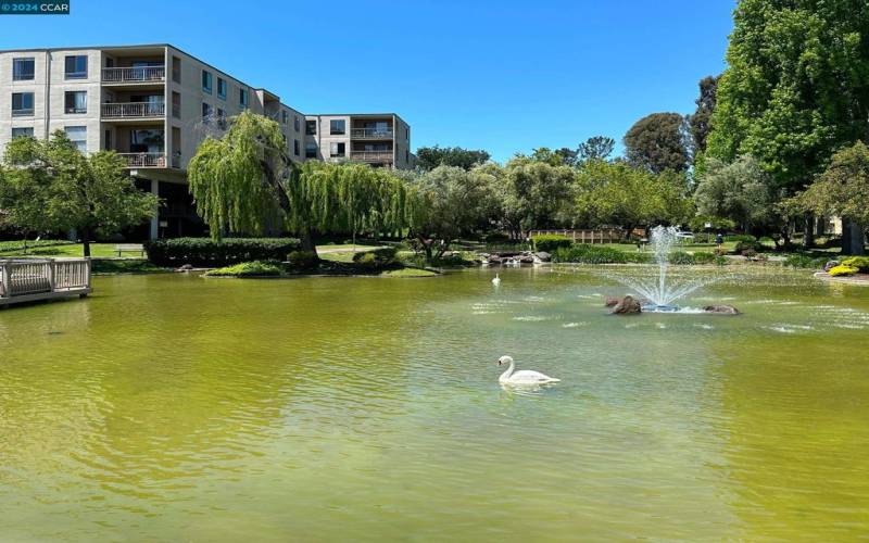 POND VIEW FROM LOBBY