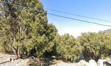 2029 Linden Drive, Pine Mountain Club, California 93225, ,Land,Buy,2029 Linden Drive,SR24093689