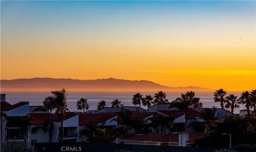 Catalina Island View