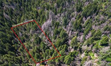 0 Bloom Grade, Boulder Creek, California 95006, ,Land,Buy,0 Bloom Grade,SW24094677