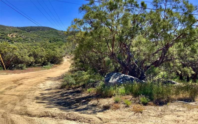 Easement on north boundary