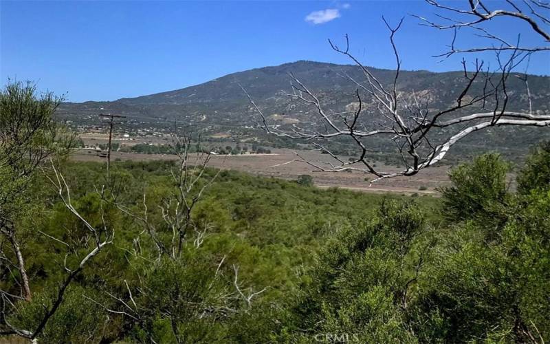 View to Thomas Mtn.