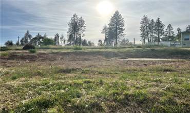 5693 Feather River Place, Paradise, California 95969, ,Land,Buy,5693 Feather River Place,SN24095003