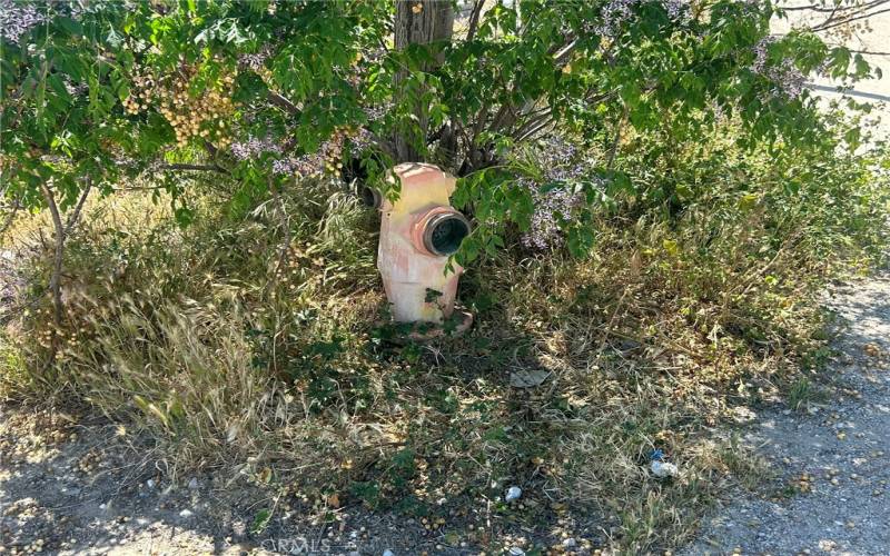 Fire hydrant on corner