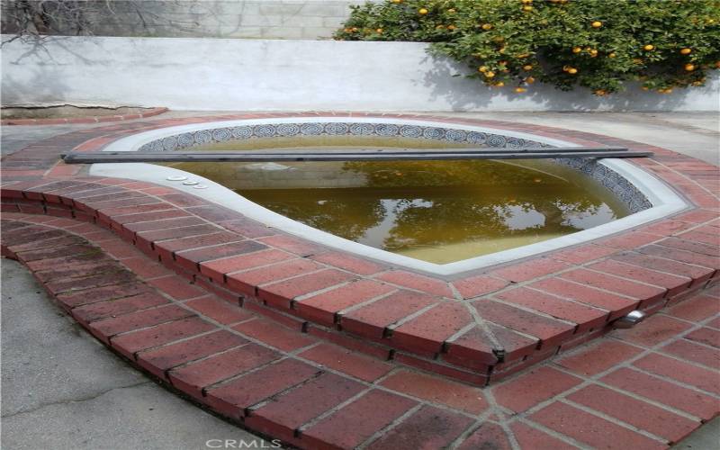 Jacuzzi in the backyard