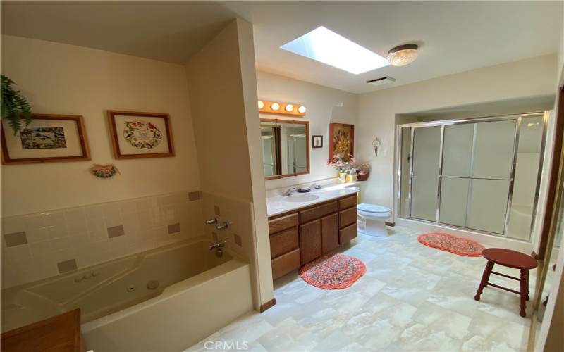Master bath separate bathtub and walk-in shower.