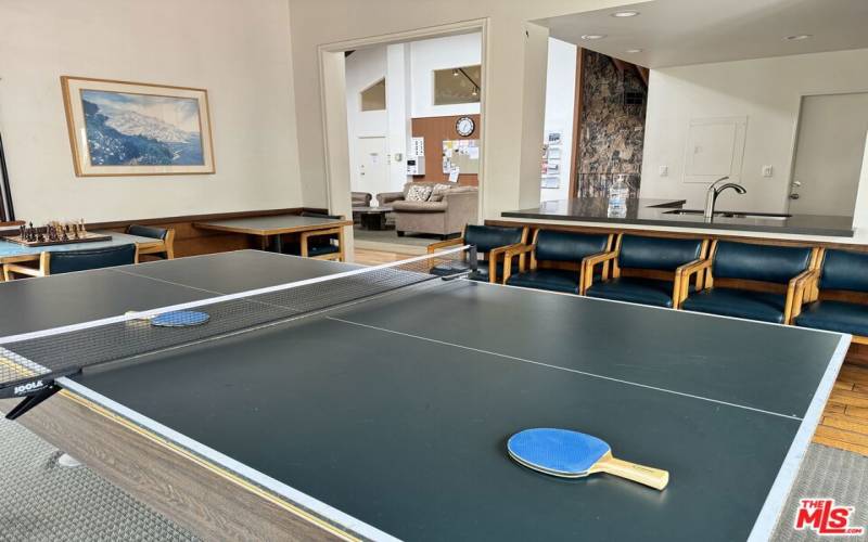 Ping Pong & Pool Table