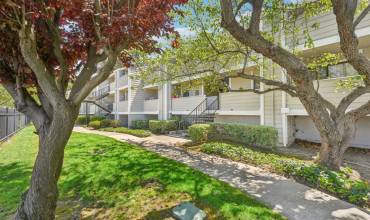 288 Stonegate Circle, San Jose, California 95110, 1 Bedroom Bedrooms, ,1 BathroomBathrooms,Residential,Buy,288 Stonegate Circle,ML81965406