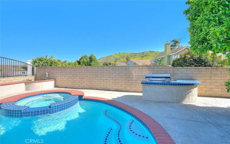 Built in Barbecue and Foothill Views