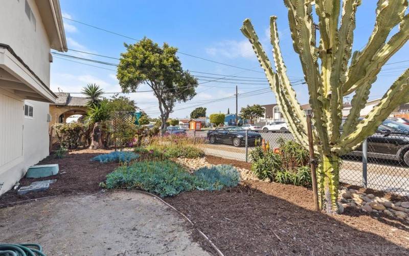 Drought tolerant landscaping