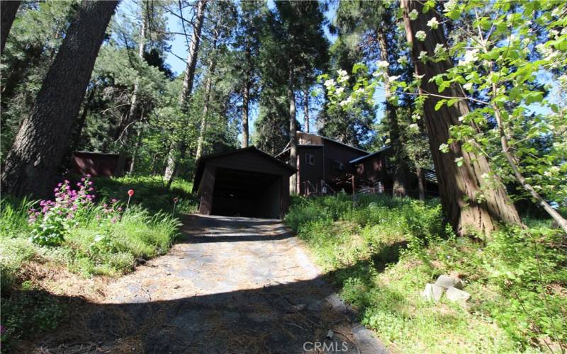 Driveway to the garage.