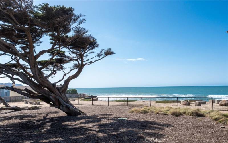 View from Clubhouse at 233 Second Avenue, Pacifica CA 94044