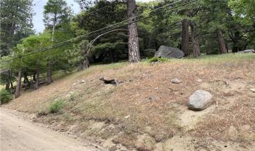 42 Lot 42 Burnt Mill Canyon Road, Cedarpines Park, California 92322, ,Land,Buy,42 Lot 42 Burnt Mill Canyon Road,EV23095462