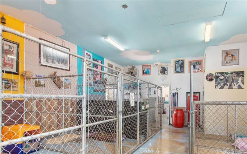 Day kennels in the salon for post grooming waiting area.