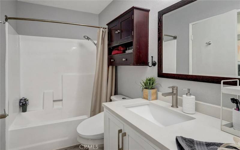 Primary Bath with Tub & Shower, Bidet toilet seat,  and updated vanity