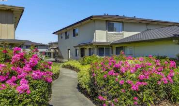 2241 Mann Ave 4, Union City, California 94587, 2 Bedrooms Bedrooms, ,1 BathroomBathrooms,Residential,Buy,2241 Mann Ave 4,41059413
