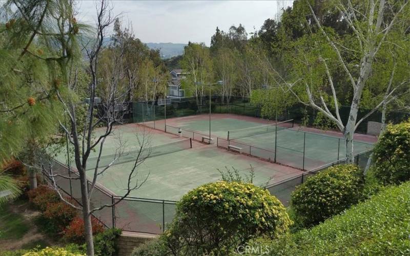 Association Tennis Courts
