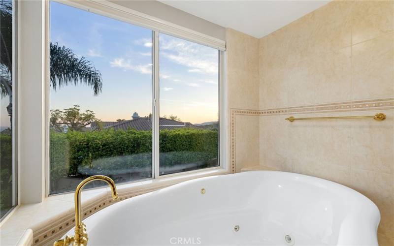 Tub with a view.