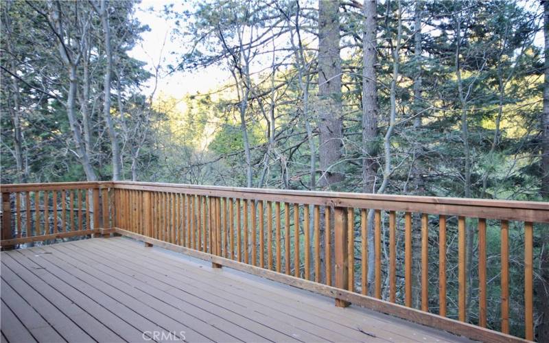 Main Level Trex Deck overlooking seasonal stream and pines
