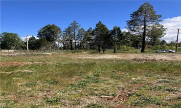 13961 Andover, Magalia, California 95954, ,Land,Buy,13961 Andover,SN24086061