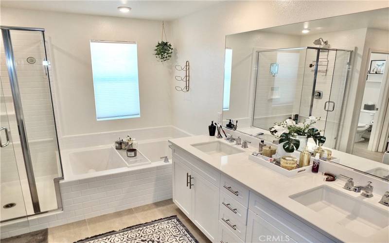 En-suite Soaker Tub, Walk in shower, Dual sinks, Custom closet with Vanity & storage space.