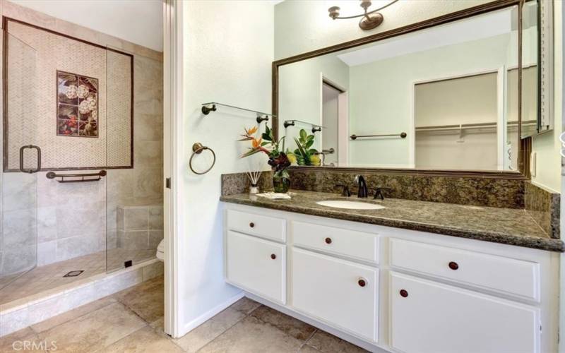 Ensuite dressing area, walk-in closet also in area and primary bath with walk-in shower and custom tropical mosaic design.