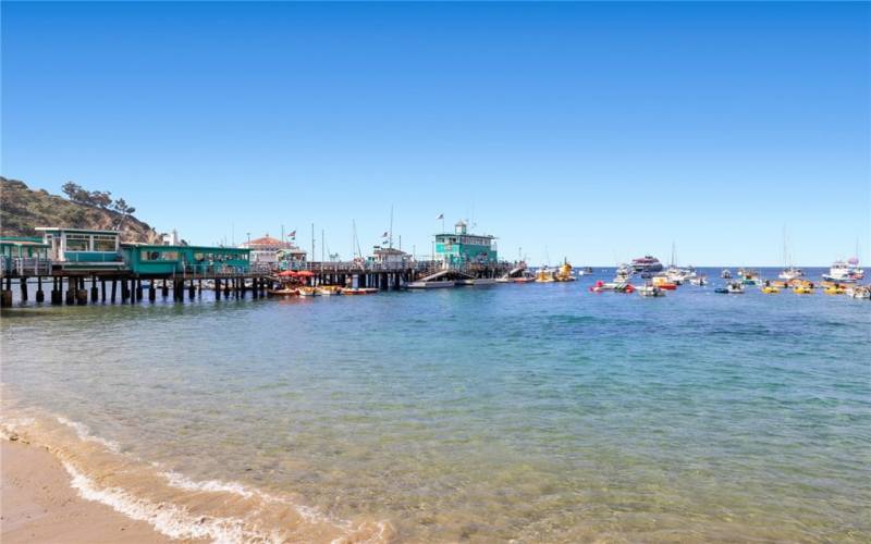 Famous Catalina Island pier