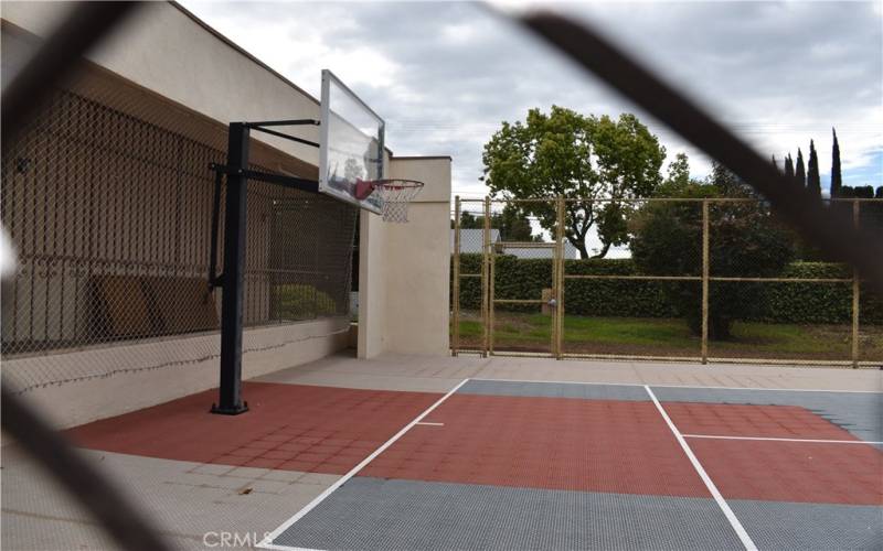 Community sport court