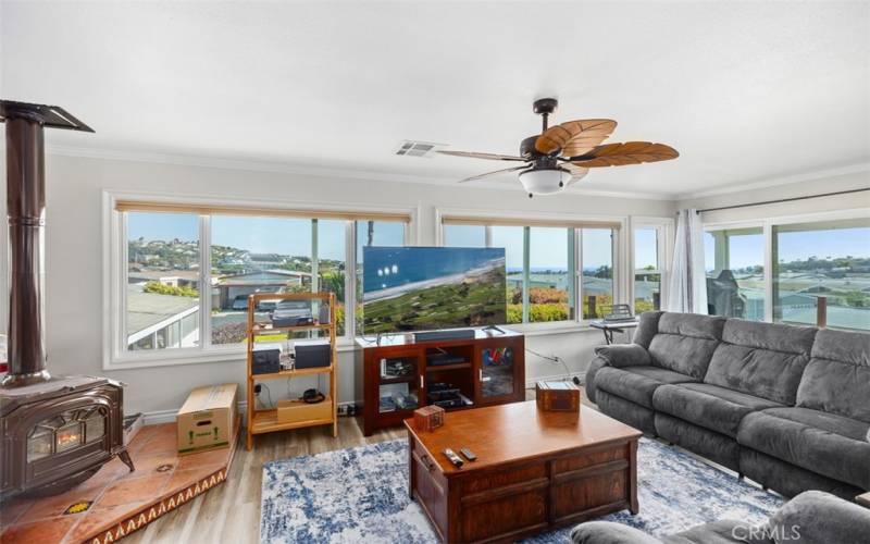 Living Room fireplace and views