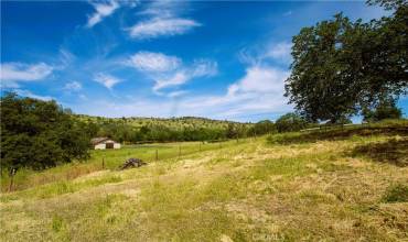 lots of cross fenced pastures