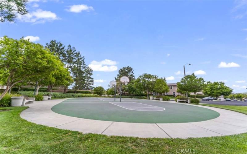 Community sports court