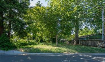 1167 E 10th Street, Chico, California 95928, ,Land,Buy,1167 E 10th Street,OR24102462