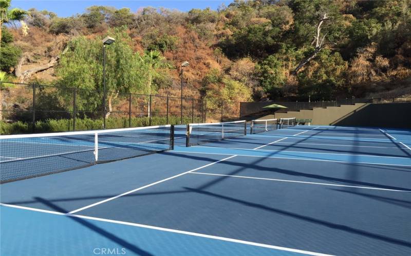 Trilogy's Tennis & Pickle Ball Courts are well utilized