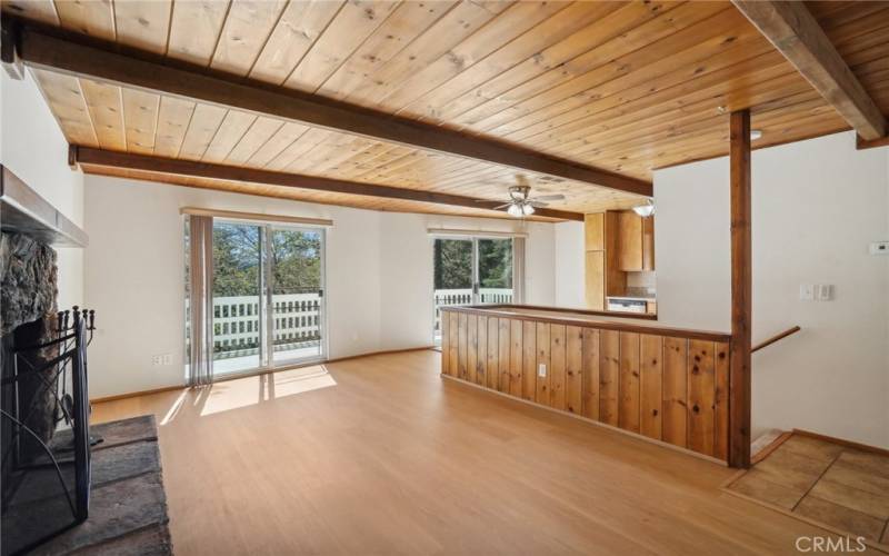 Living room and dining area