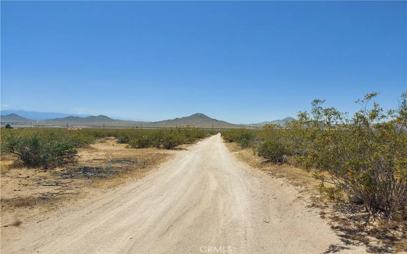 view to the west from south side of lot